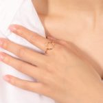 ring-893011-1